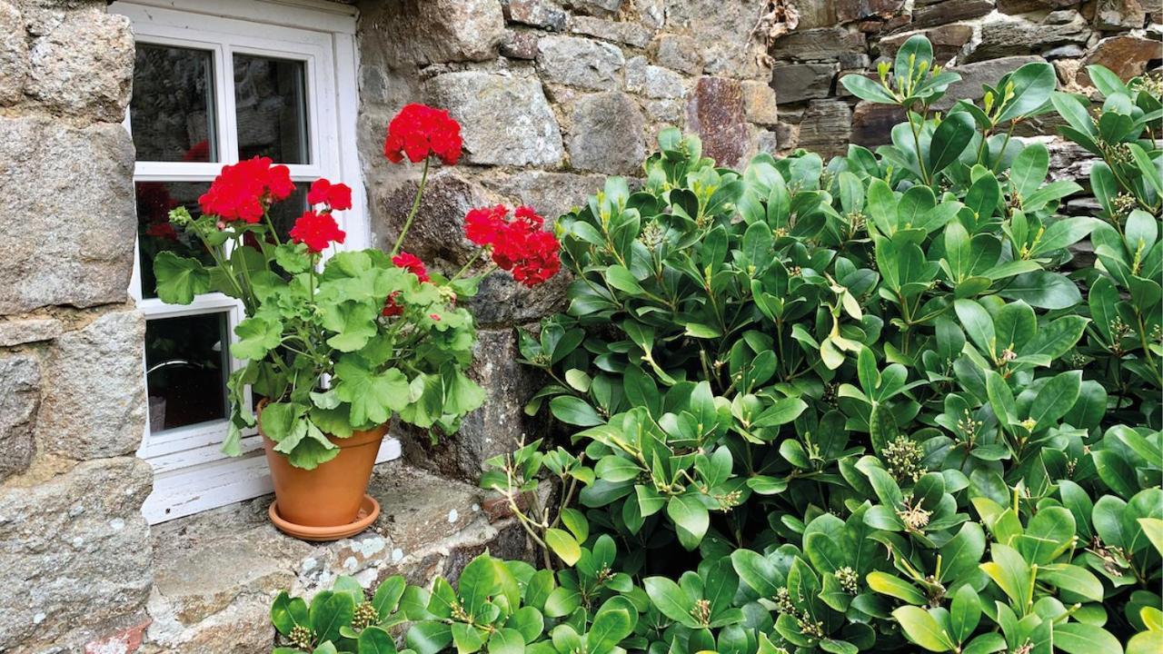 Manoir De La Begaudiere Mont-Dol Bagian luar foto