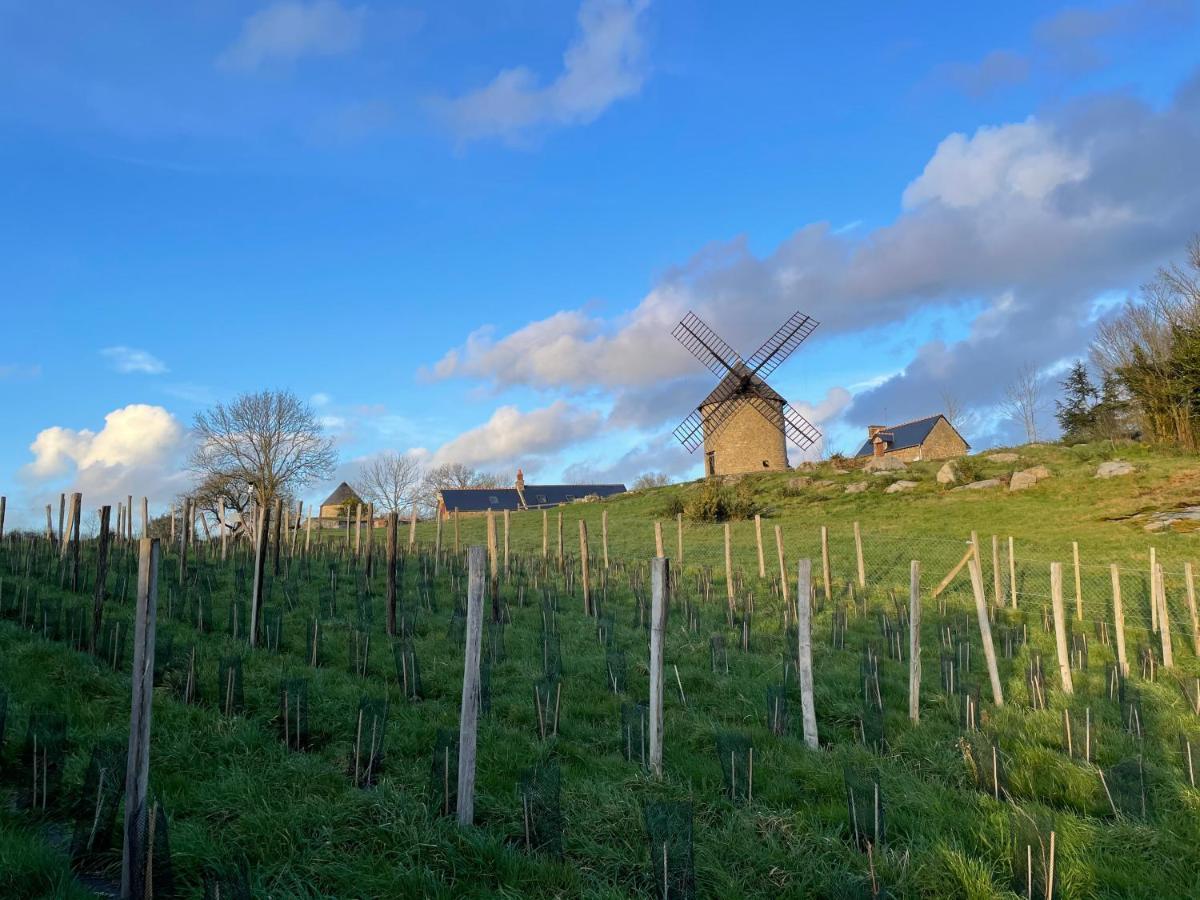 Manoir De La Begaudiere Mont-Dol Bagian luar foto